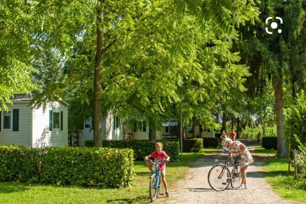 Apartmán Location Mh Situee A 15 Mn D Europa Park Et Rulantika Boofzheim Exteriér fotografie