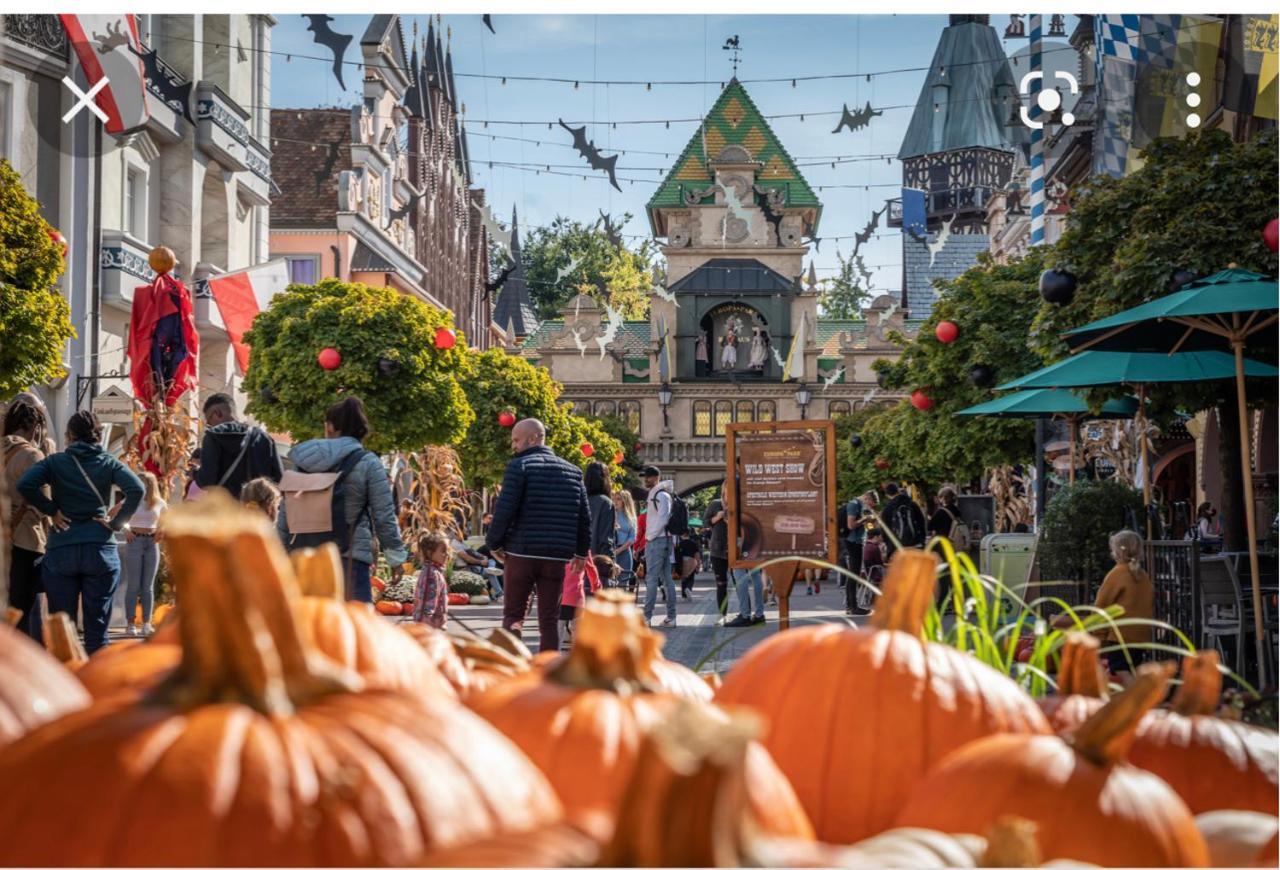 Apartmán Location Mh Situee A 15 Mn D Europa Park Et Rulantika Boofzheim Exteriér fotografie