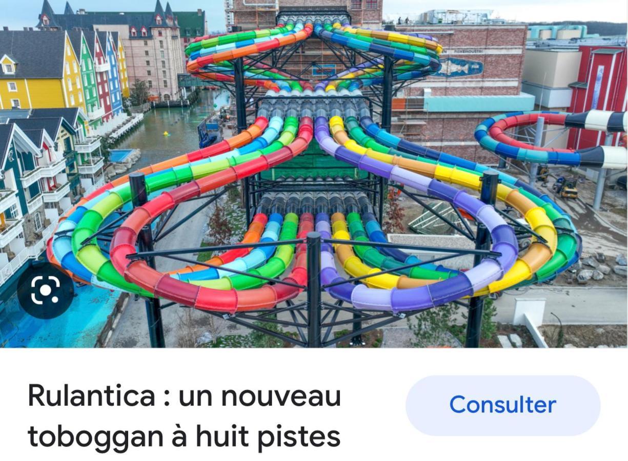 Apartmán Location Mh Situee A 15 Mn D Europa Park Et Rulantika Boofzheim Exteriér fotografie