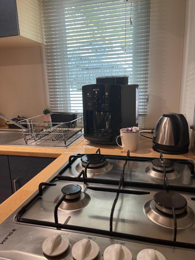 Apartmán Location Mh Situee A 15 Mn D Europa Park Et Rulantika Boofzheim Exteriér fotografie
